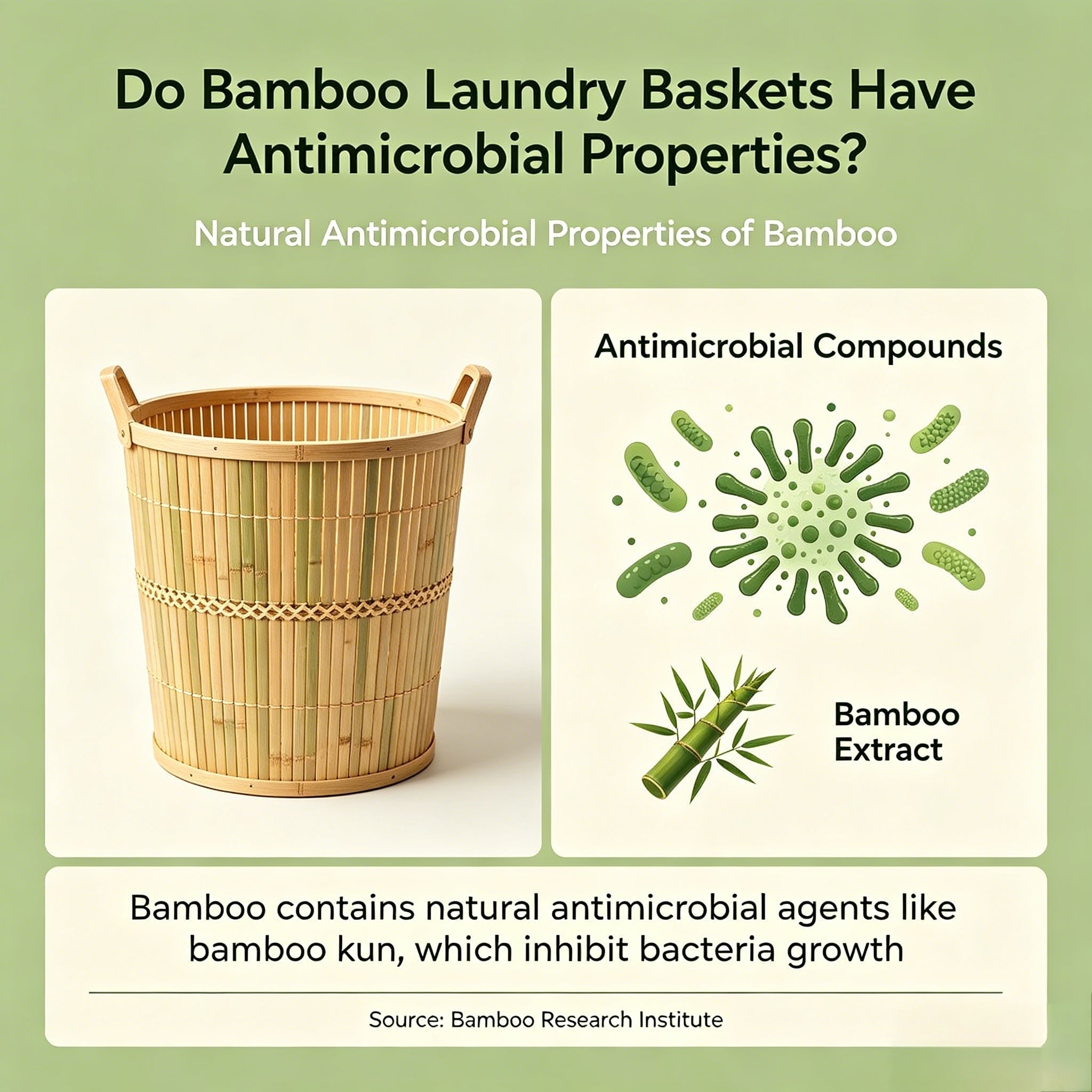 Do Bamboo Laundry Baskets Have Antimicrobial Properties? - Kunknot