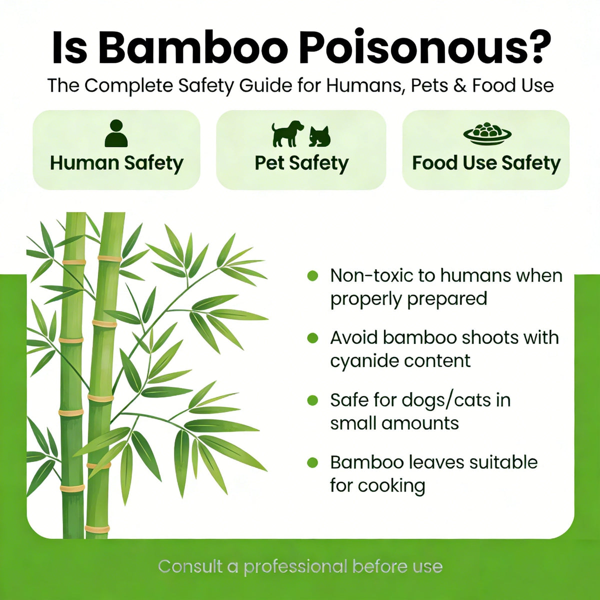 Is Bamboo Poisonous? - Kunknot